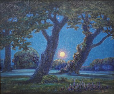 Unknown Image by Albert Konig